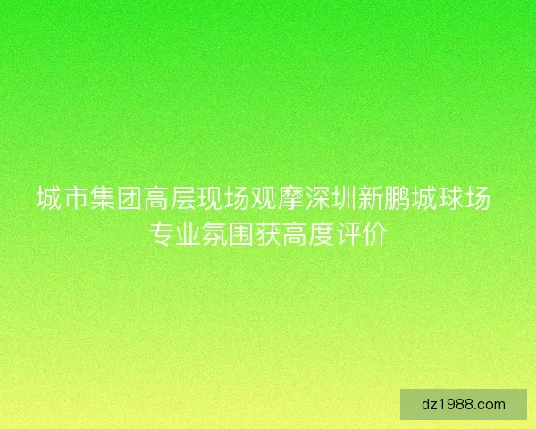 城市集团高层现场观摩深圳新鹏城球场 专业氛围获高度评价